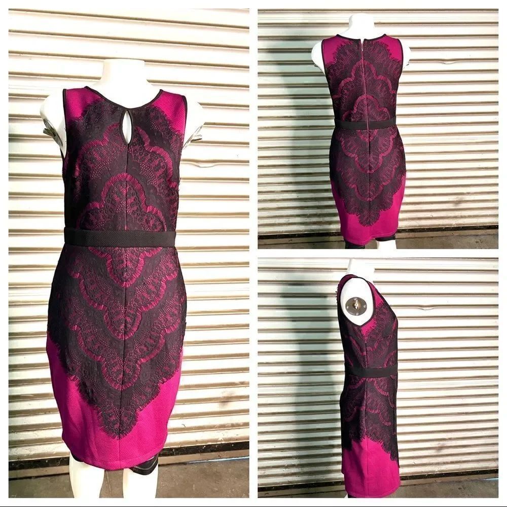 Thalia
Sodi dress sheath career sleeveless fuchsia pink  black lace